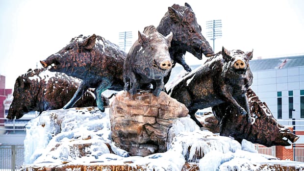 Frozen Hogs